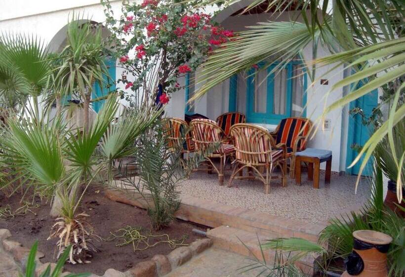 اتاق استاندارد با چشم‌انداز باغ, Planet Oasis