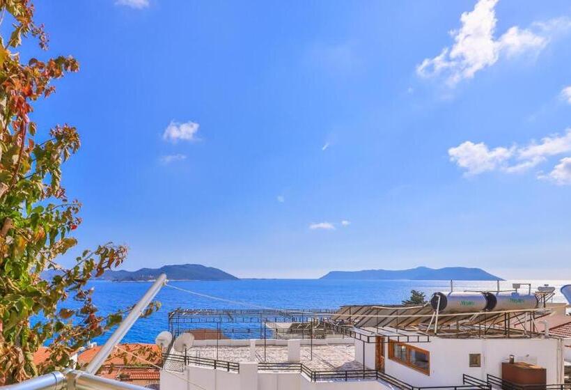 اتاق لوکس با چشم‌انداز دریا, Sonne   Adults Only