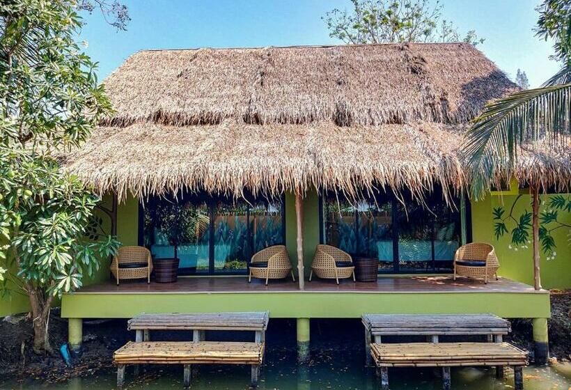اتاق سوپریور, Asita Eco Resort