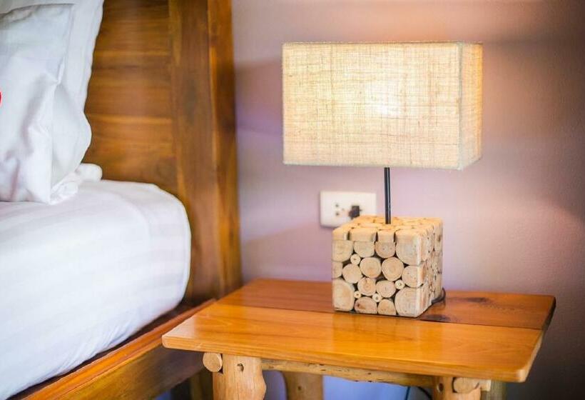 اتاق سوپریور, Asita Eco Resort