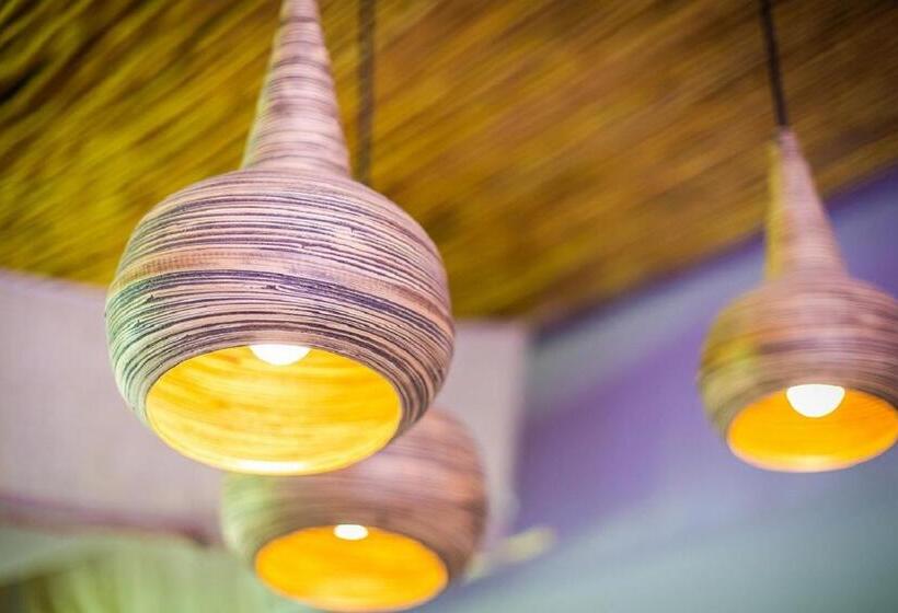 اتاق لوکس, Asita Eco Resort