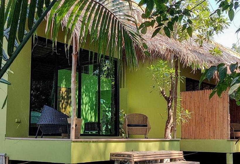 اتاق لوکس, Asita Eco Resort
