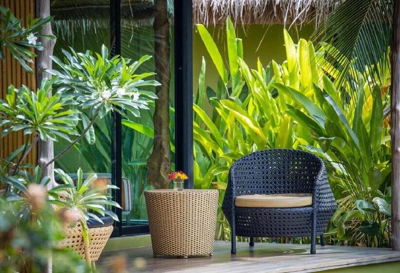 اتاق لوکس, Asita Eco Resort