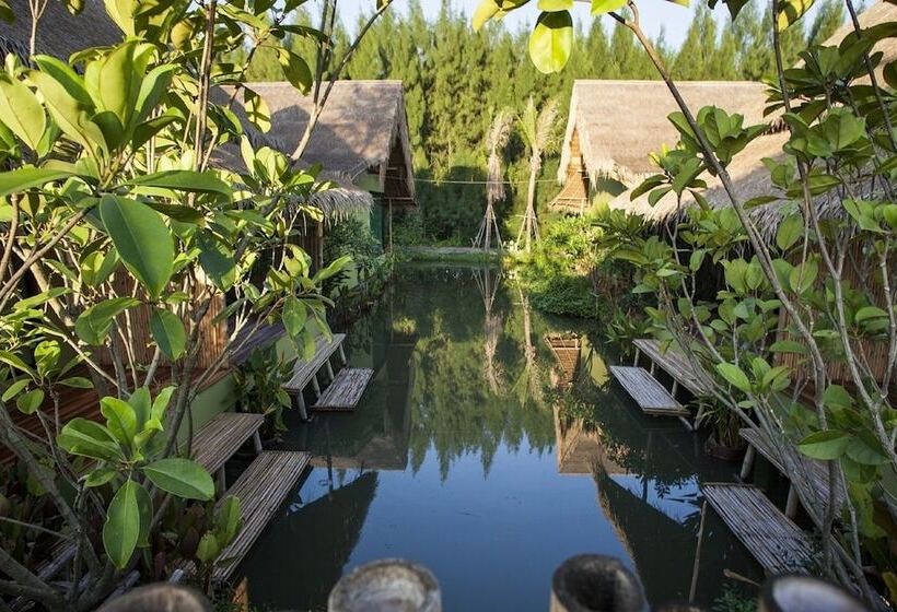 اتاق سوپریور, Asita Eco Resort