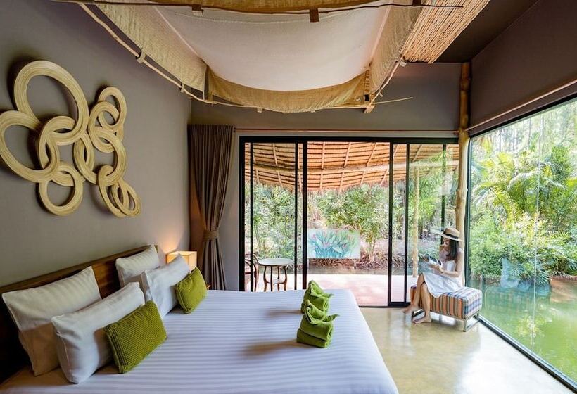 اتاق لوکس, Asita Eco Resort