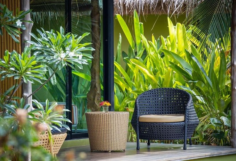 اتاق لوکس, Asita Eco Resort