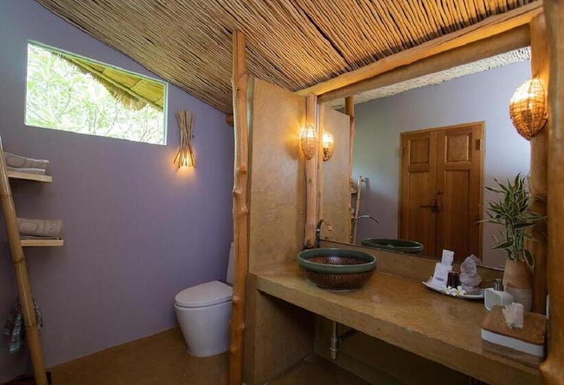 اتاق لوکس, Asita Eco Resort