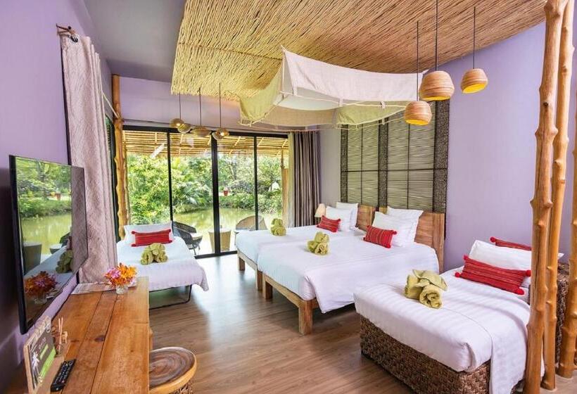اتاق لوکس, Asita Eco Resort