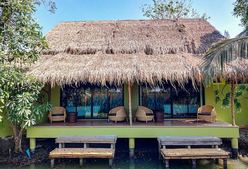 اتاق سوپریور, Asita Eco Resort