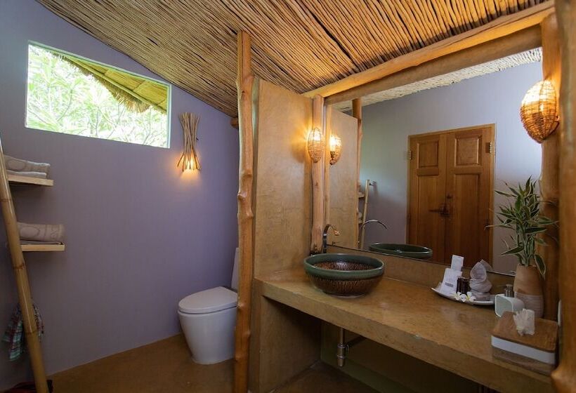 اتاق لوکس, Asita Eco Resort
