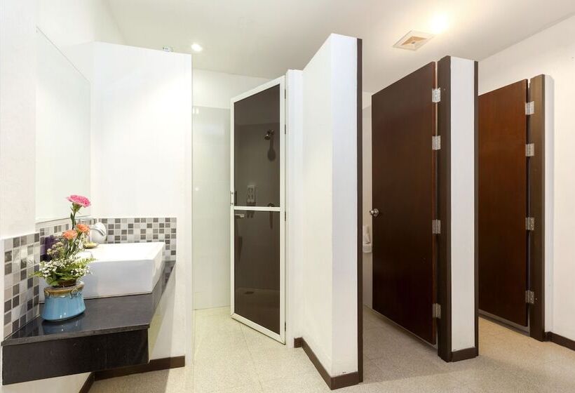 اتاق لوکس چهار تخته, The Lantern Hostel And Spa