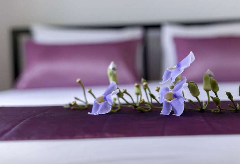 آپارتمان 2 خوابه, The Lantern Hostel And Spa
