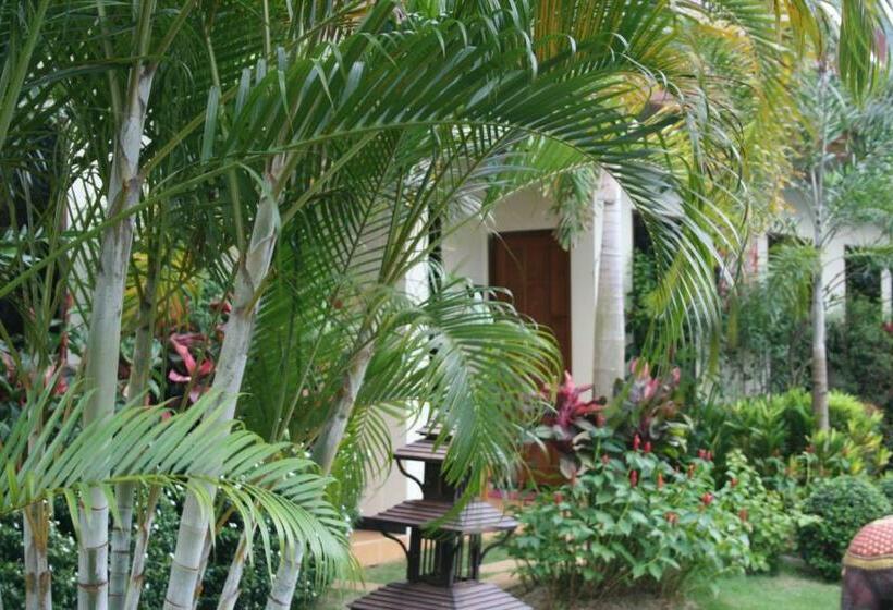 اتاق لوکس با تراس, Villa Angelica Bed And Breakfast In Phuket