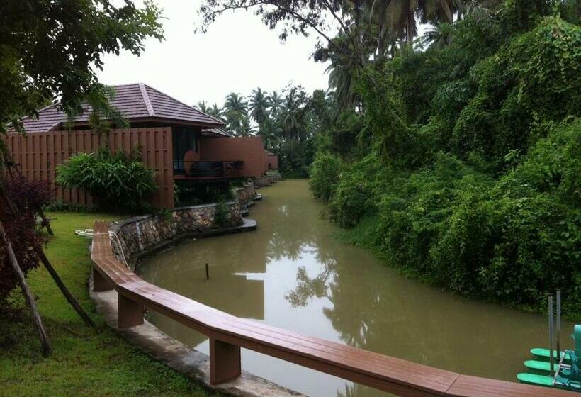 اتاق لوکس, The Grace Amphawa