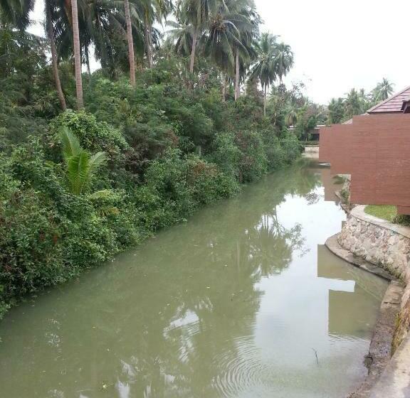 اتاق لوکس, The Grace Amphawa