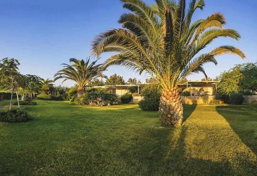 استودیوی استاندارد با چشم‌انداز دریا, Nereids Apartments