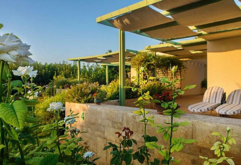 استودیوی استاندارد با چشم‌انداز دریا, Nereids Apartments