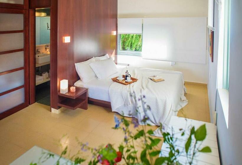 استودیوی استاندارد با چشم‌انداز دریا, Nereids Apartments
