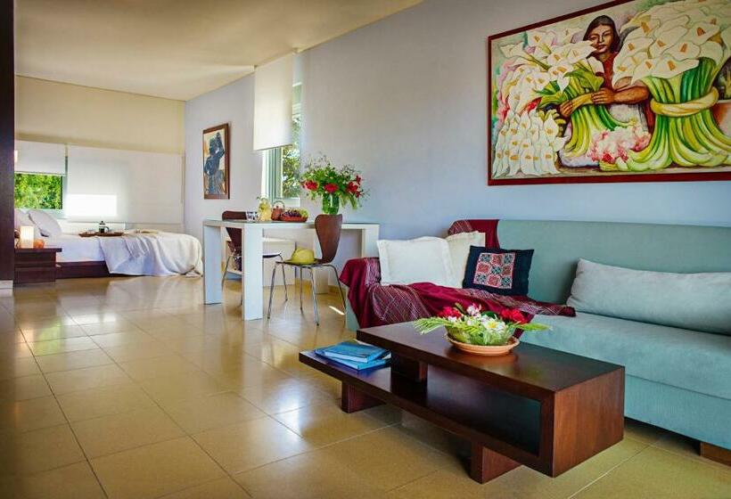 استودیوی استاندارد با چشم‌انداز دریا, Nereids Apartments