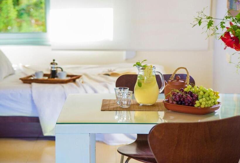 استودیوی استاندارد با چشم‌انداز دریا, Nereids Apartments
