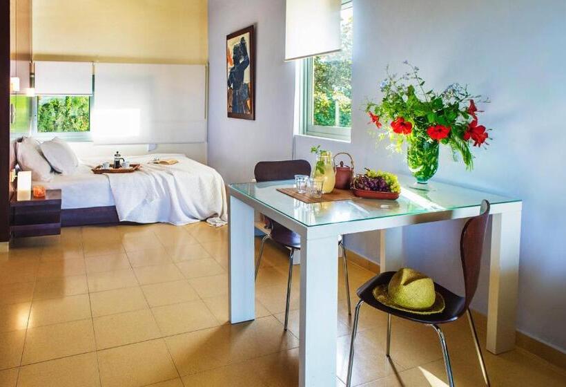 استودیوی استاندارد با چشم‌انداز دریا, Nereids Apartments