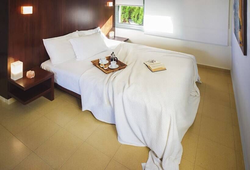 استودیوی استاندارد با چشم‌انداز دریا, Nereids Apartments