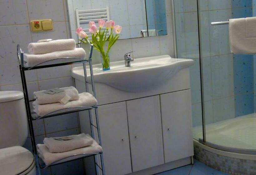 اتاق استاندارد با بالکن, Family Hotel Maxim