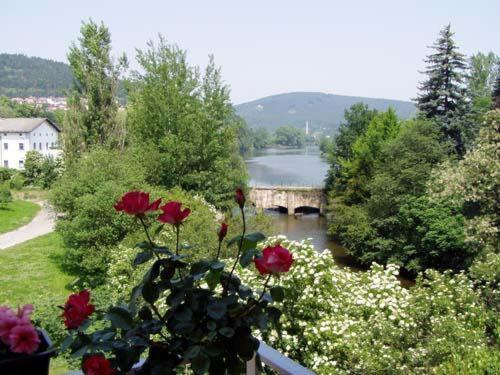 اتاق استاندارد با بالکن, Family Hotel Maxim