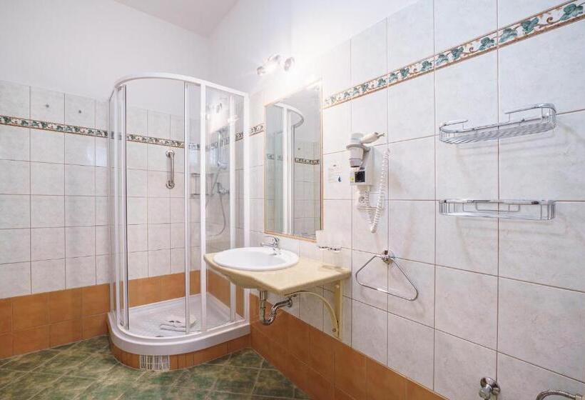 اتاق سوپریور, Francis Spa