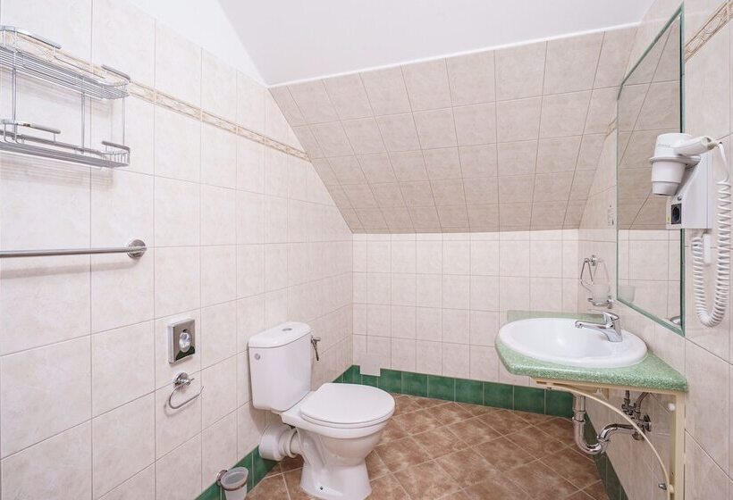 اتاق استاندارد یک نفره, Francis Spa