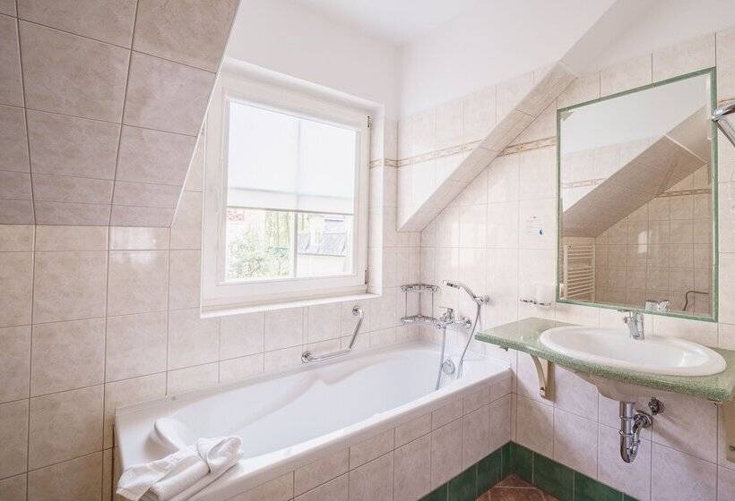اتاق سوپریور, Francis Spa
