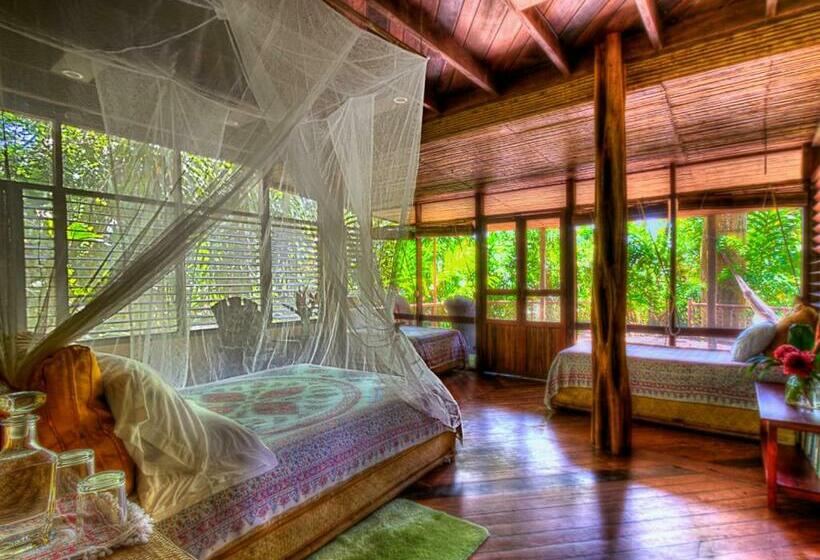 سوییت جونیور لوکس, Iguana Lodge Beach Resort