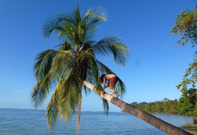 بانگلوی استاندارد 2 خوابه, La Costa De Papito