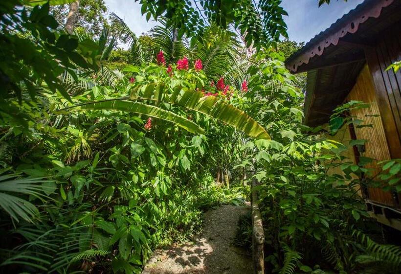 بانگلوی استاندارد 2 خوابه, La Costa De Papito