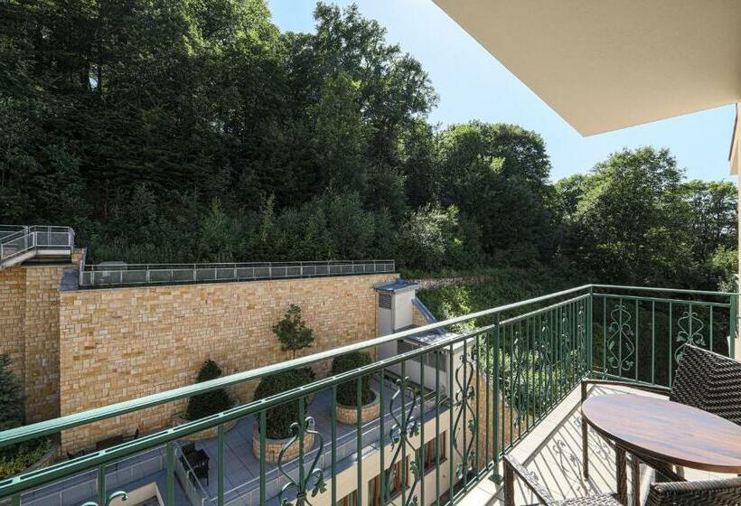 اتاق راحتی, Luxury Spa Hotel Olympic Palace