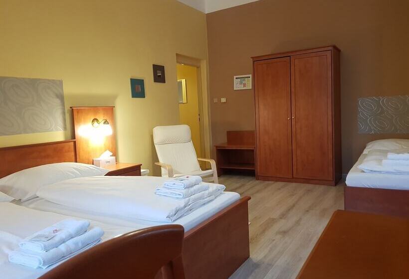 Suite 2 Dormitoare, Pension Elektra