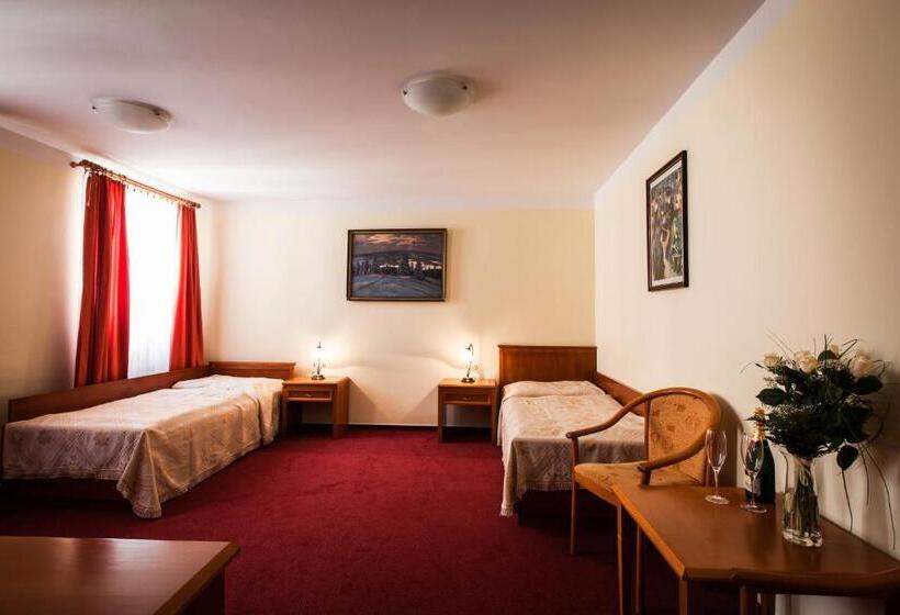 اتاق استاندارد, Reitenberger Spa Medical