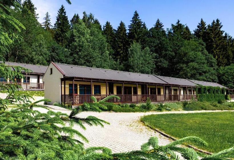 آپارتمان 1 خوابه, Resort Lesní Lázně