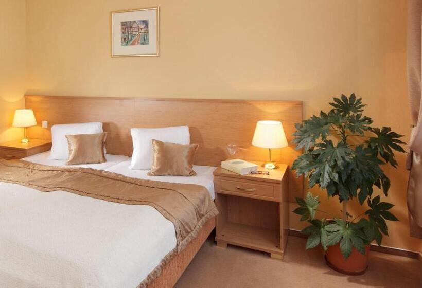 اتاق استاندارد, Savoy Spa & Kur