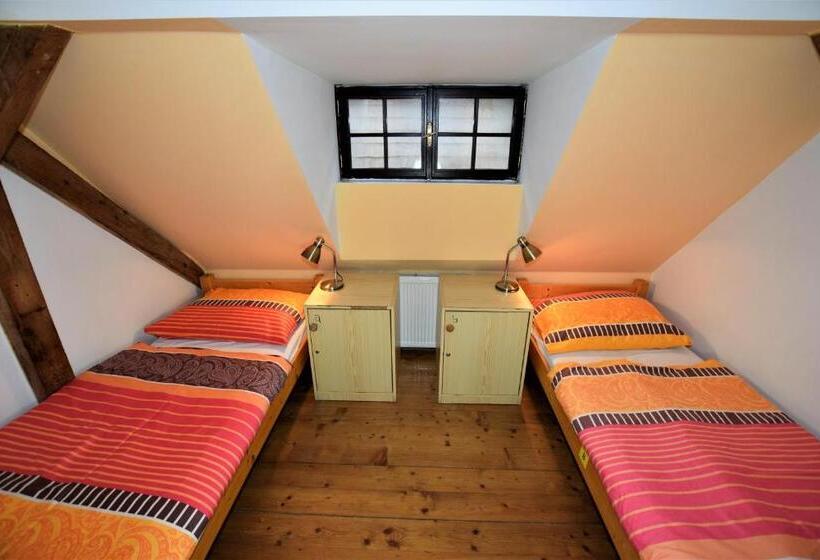 اتاق استاندارد با سرویس بهداشتی مشترک, Travel Hostel