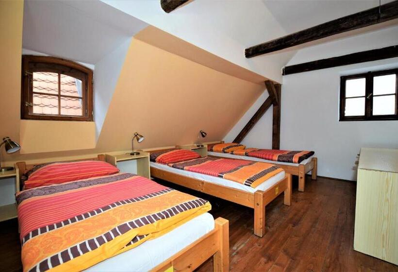 تختخواب در اتاق مشترک, Travel Hostel