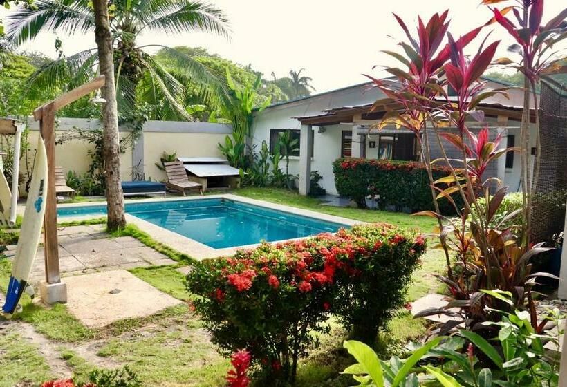 استودیوی استاندارد, Maoritsio Garden Studios
