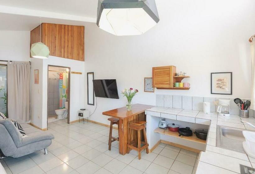 استودیوی استاندارد, Maoritsio Garden Studios