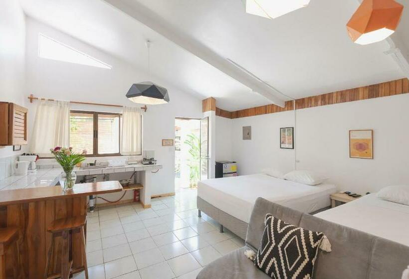 استودیوی استاندارد, Maoritsio Garden Studios