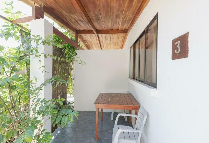 استودیوی استاندارد, Maoritsio Garden Studios