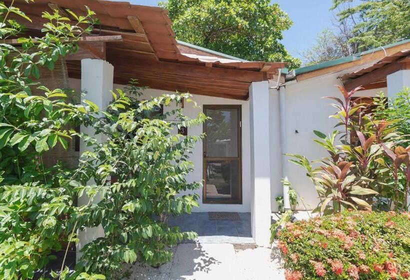 استودیوی استاندارد, Maoritsio Garden Studios