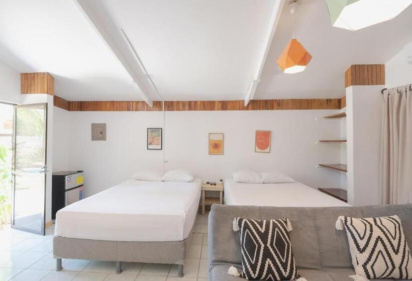 استودیوی استاندارد, Maoritsio Garden Studios