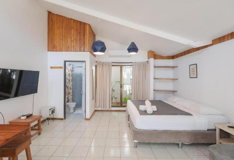 آپارتمان 1 خوابه با بالکن, Maoritsio Garden Studios
