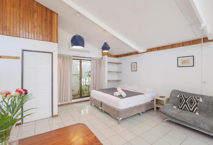 آپارتمان 1 خوابه با چشم‌انداز باغ, Maoritsio Garden Studios