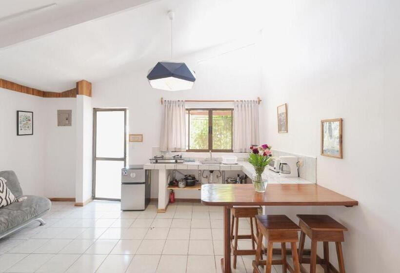 اتاق استاندارد, Maoritsio Garden Studios